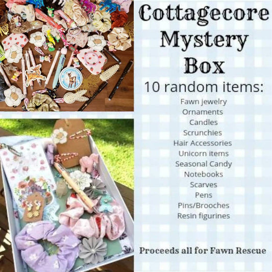 Cottagecore Forestcore Cozy MYSTERY RANDOM Dark Nature Gift Box Fawn Baby Deer Cute 10 items Retro Animal Kitsch Bambi Floral