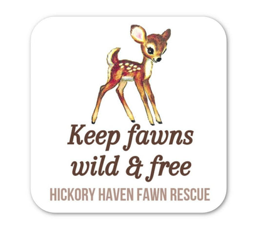 Fawn Rescue Wildlife Sticker Kitsch Retro Vintage 3x3 vinyl